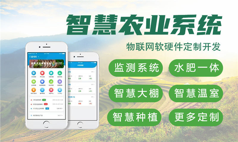 上海物联网系统开发：破解企业智能硬件研发难题的高效解决方案