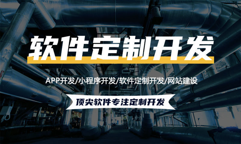泉州排队免单商城模式源码开发软件：破解企业数字化转型难题的创新方案
