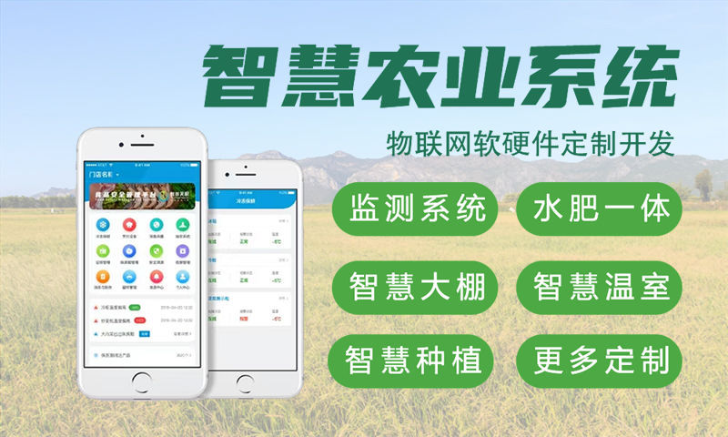 上海物联网开发新选择：Raspberry Pi智能硬件开发如何解决企业痛点