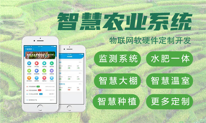 上海嵌入式软件开发：解决企业智能硬件研发痛点，助力物联网产业升级