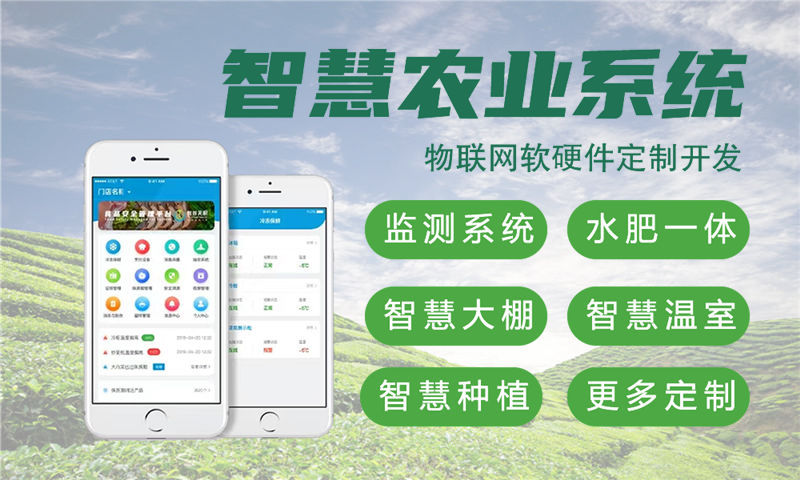 东莞ARM开发助力企业突破智能硬件研发瓶颈 专业物联网解决方案