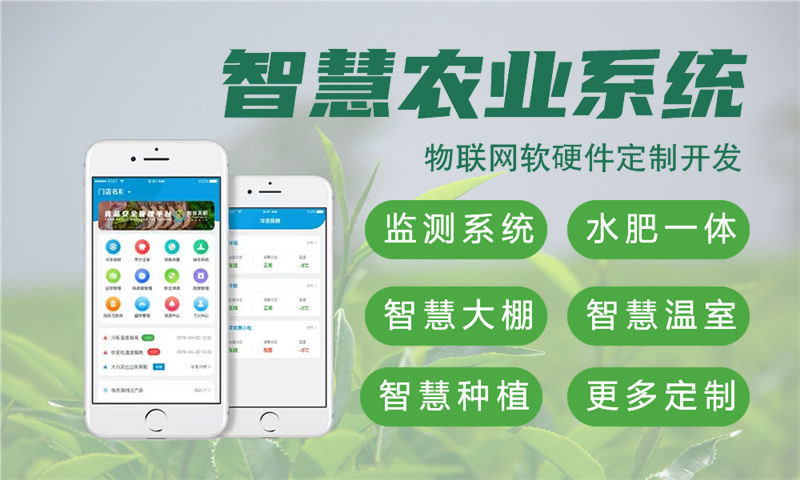 天津物联网开发难题破解：嵌入式技术专家助力智能硬件高效落地