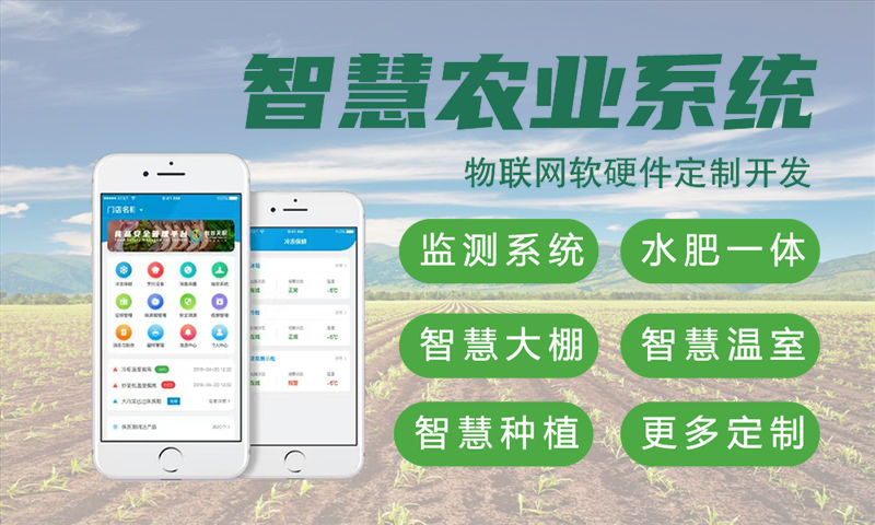 上海物联网传感器开发：解决企业硬件研发难题的专业方案