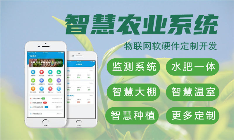 武汉企业如何高效开发智能硬件？嵌入式应用开发成破局关键