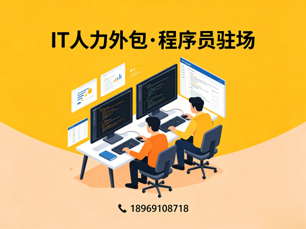 南京IT人力外包解决方案：如何高效解决企业技术人才招聘难题